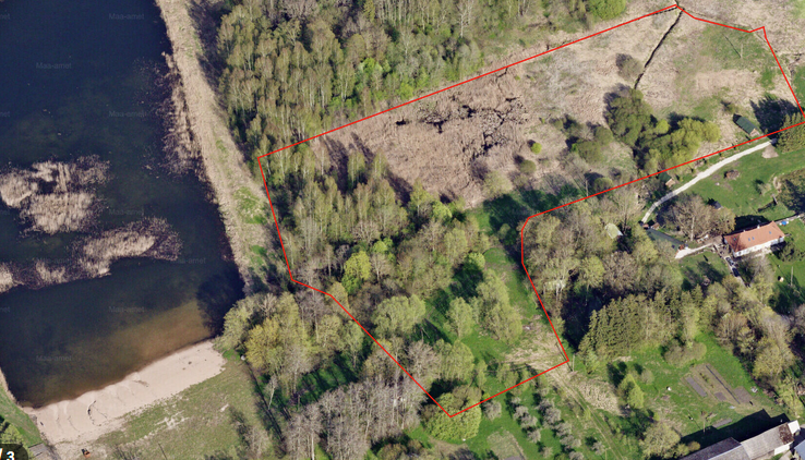 Järveäärne kinnistu.png